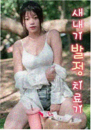 浪漫满屋 经典韩剧